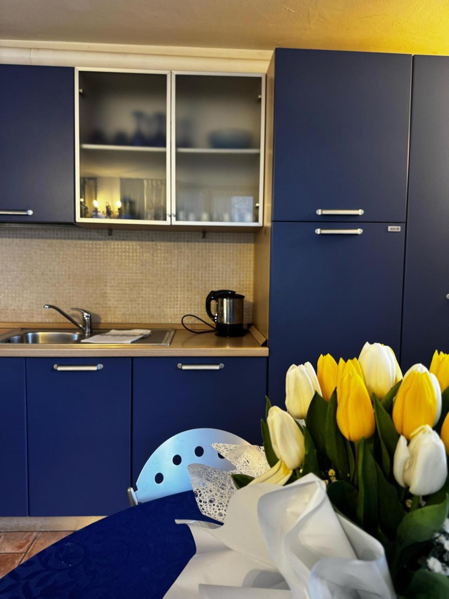 Wonderful Lake View Apartments With Pool With Breakfast Gardasee トッリ・デル・ベーナコ エクステリア 写真