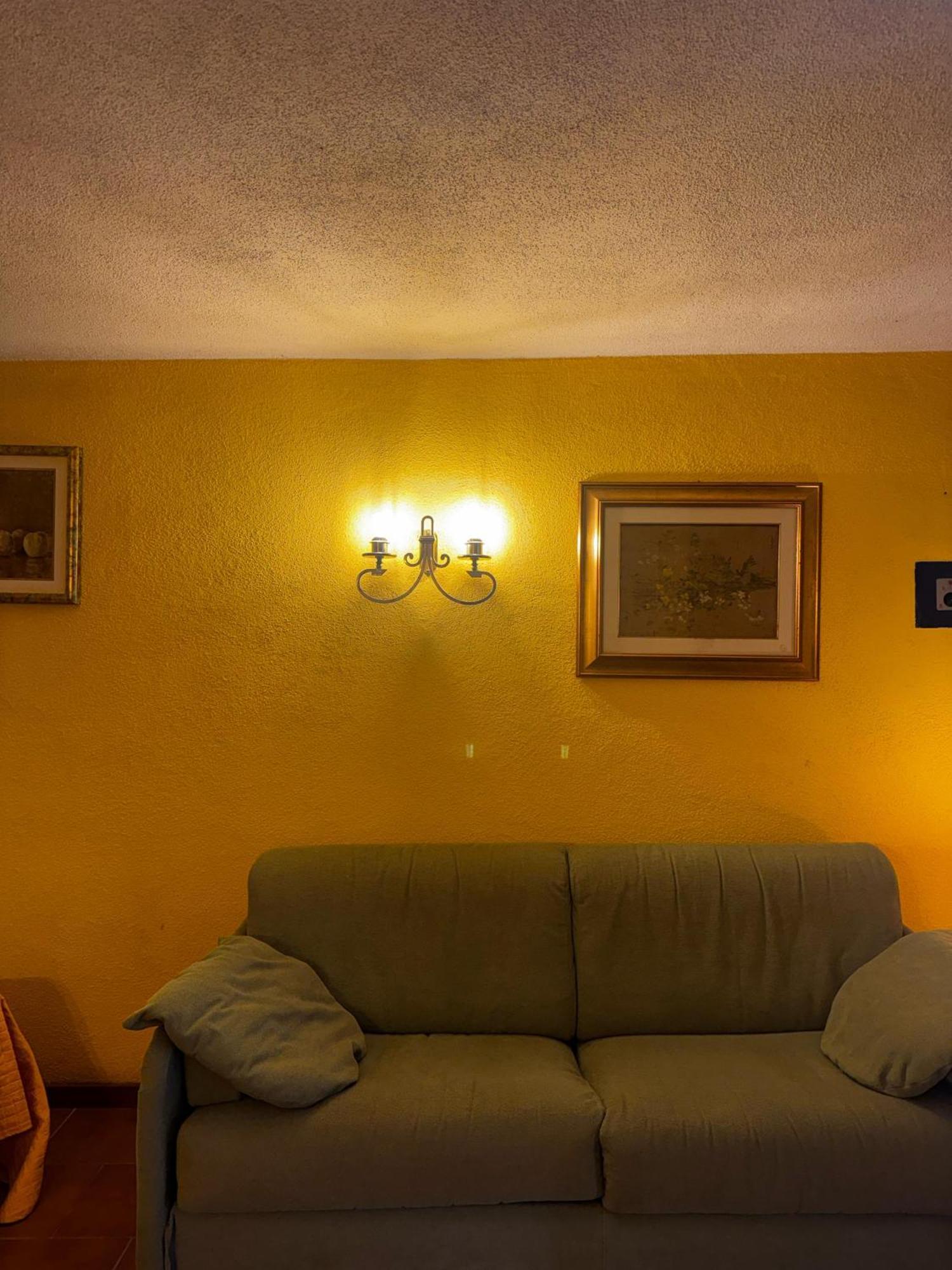 Wonderful Lake View Apartments With Pool With Breakfast Gardasee トッリ・デル・ベーナコ エクステリア 写真