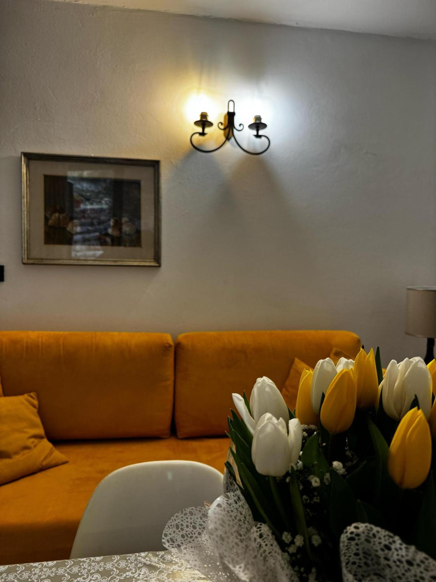 Wonderful Lake View Apartments With Pool With Breakfast Gardasee トッリ・デル・ベーナコ エクステリア 写真